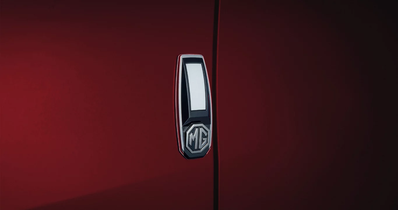 DOOR PROTECTOR