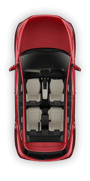 Car top view